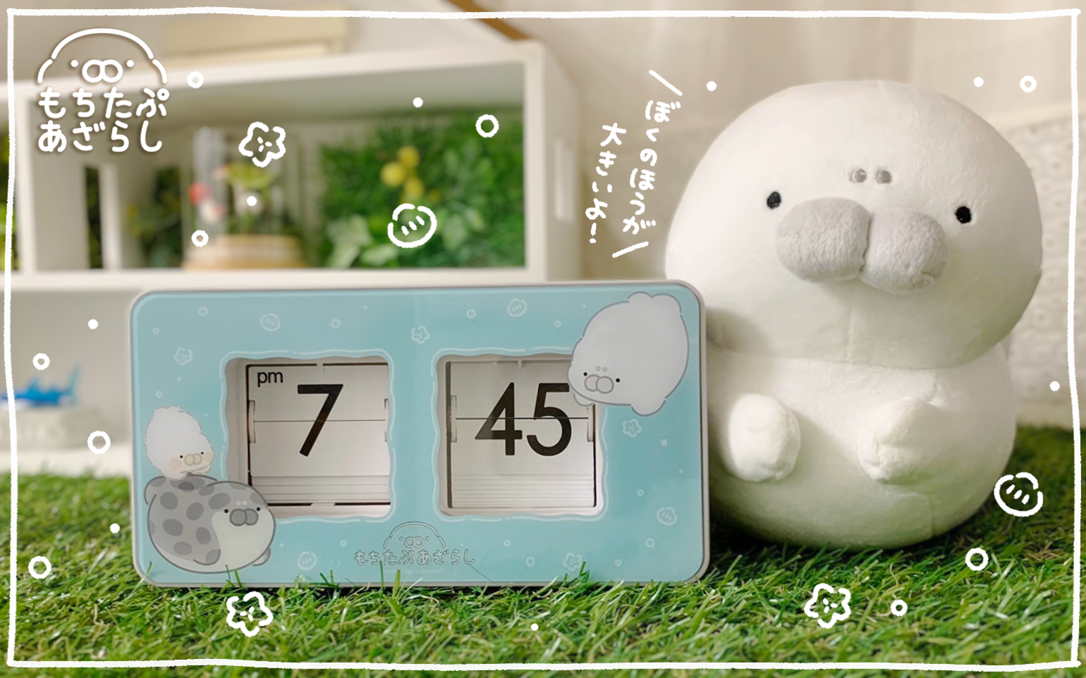もちたぷあざらしのオンラインストア | キャラクターグッズ通販HOPELY