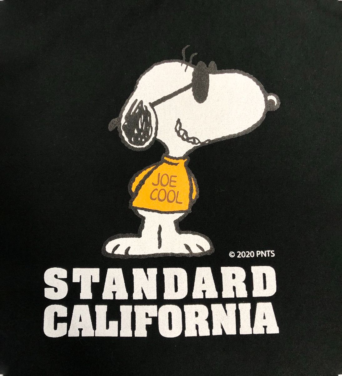 Standard California Snoopy Hooded Sweatshirt Black Peanuts Trailer Shop Online Store