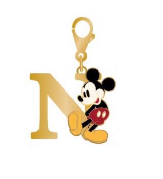 チャムコレ イニシャル N ミッキー NAKA