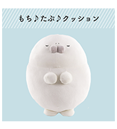 通常販売開始！〈もちたぷあざらし〉クッション