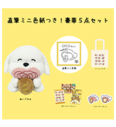 ステッカーセットのプレゼントつき！〈すごく良い〉直筆ミニ色紙つき！豪華5点セット