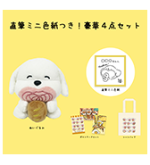 数量限定〈すごく良い〉直筆ミニ色紙つき！豪華4点セット