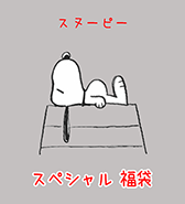 10点限定!〈スヌーピー〉スペシャル福袋