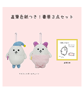 数量限定〈やわめ〉直筆色紙つき！豪華3点セット