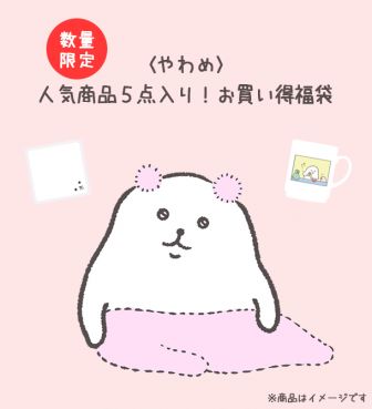 数量限定〈やわめ〉人気商品5点入り！お買い得福袋