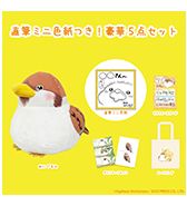 数量限定〈ちゅんトークショップ〉直筆色紙つき！豪華5点セット
